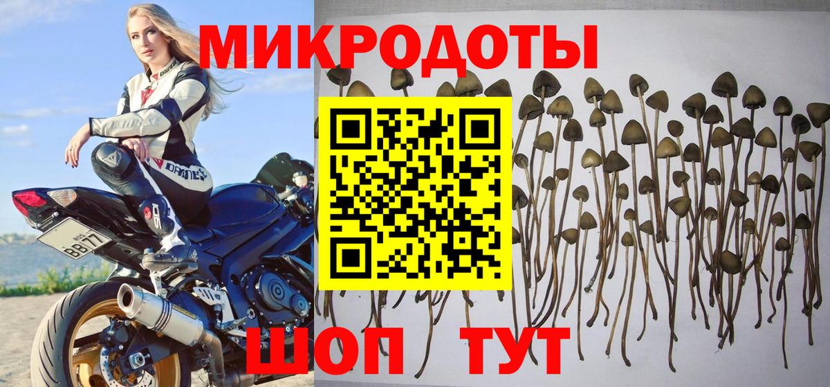 Черняховск  Галлюциногенные грибы Magic Shrooms  Вход с VPN 